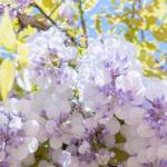 觉醒年代 觉醒年代