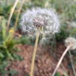 奋斗者一号 寻觉